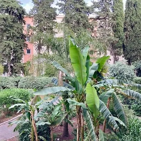 Neuf Parking Piscine A Apartmán Cannes